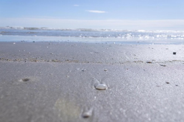 Islander East Condominiums image 13